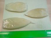 Морепродукты