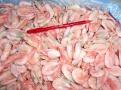 Морепродукты