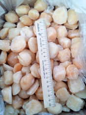 Морепродукты
