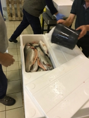Рыба