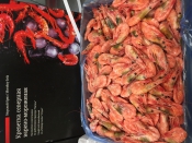 Морепродукты