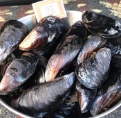 Морепродукты
