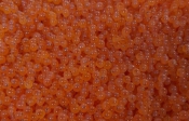 Рыба