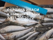 Рыба