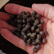 Корма для рыб