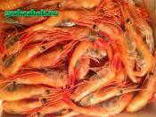 Морепродукты Морепродукты