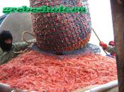 Морепродукты Морепродукты