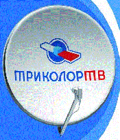 Бизнес Бизнес