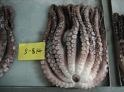 Морепродукты