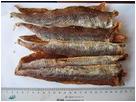 Морепродукты
