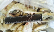 Морепродукты