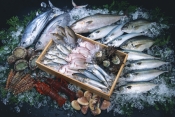 Морепродукты