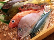 Морепродукты