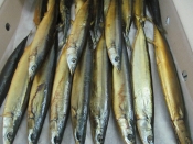 Морепродукты