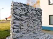 Рыба
