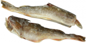 Рыба