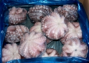 Морепродукты