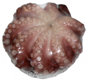 Морепродукты