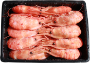 Морепродукты