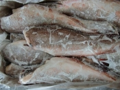 Рыба