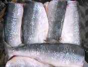 Морепродукты