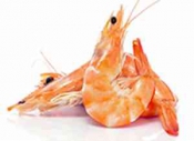 Морепродукты