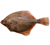 Морепродукты