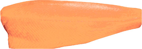 Филе