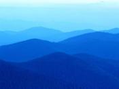 Автар пользователя iipetrov