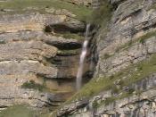 Автар пользователя server