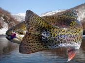 Автар пользователя радуга