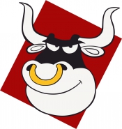 Автар пользователя Елена Яковлева