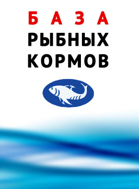 Баннер